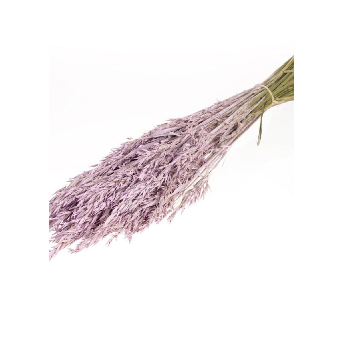 Avena, aproximadamente 180 g, 60-65 cm, lila caliza