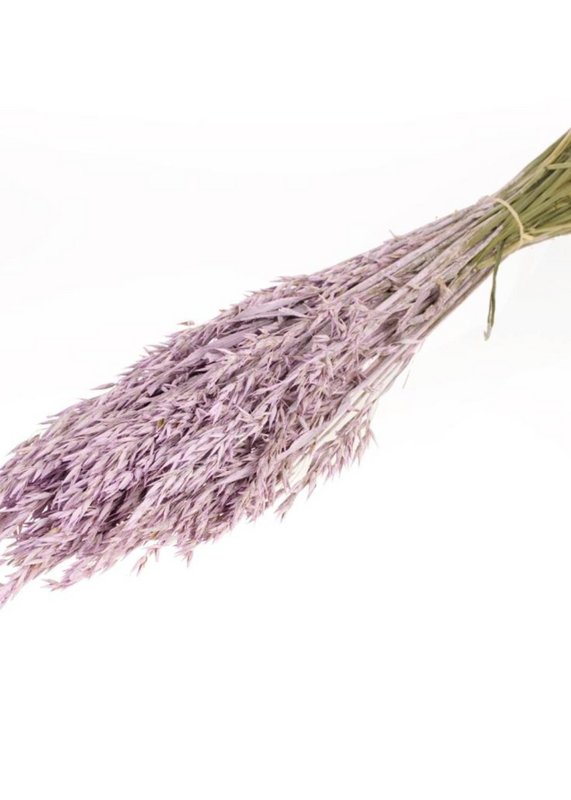 Avena, aproximadamente 180 g, 60-65 cm, lila caliza