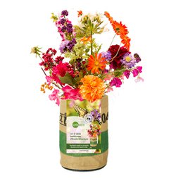 Colorful assortment of butterfly flowers in a nursery garden container. Includes a variety of vibrant blooms in shades of purple, orange, and yellow.