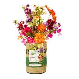 Colorful assortment of butterfly flowers in a nursery garden container. Includes a variety of vibrant blooms in shades of purple, orange, and yellow.