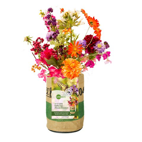 Grow your own butterfly flowers - sustainable nursery garden in recycled bag