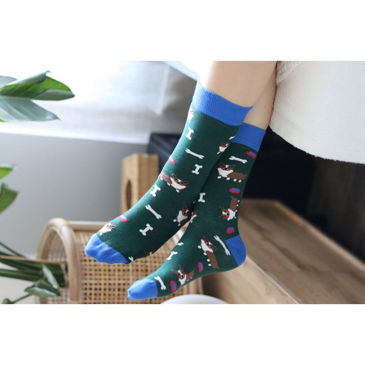 Calcetines Perros Corgi