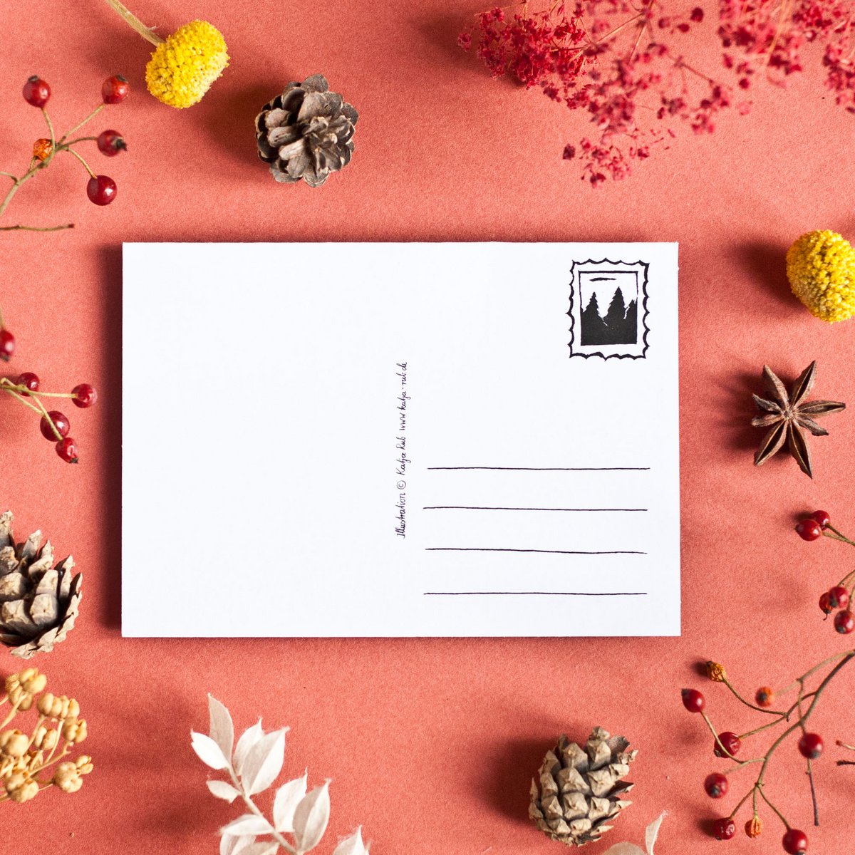 Adventskalender Postkarte Katzen A6