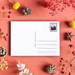 Adventskalender Postkarte Katzen A6