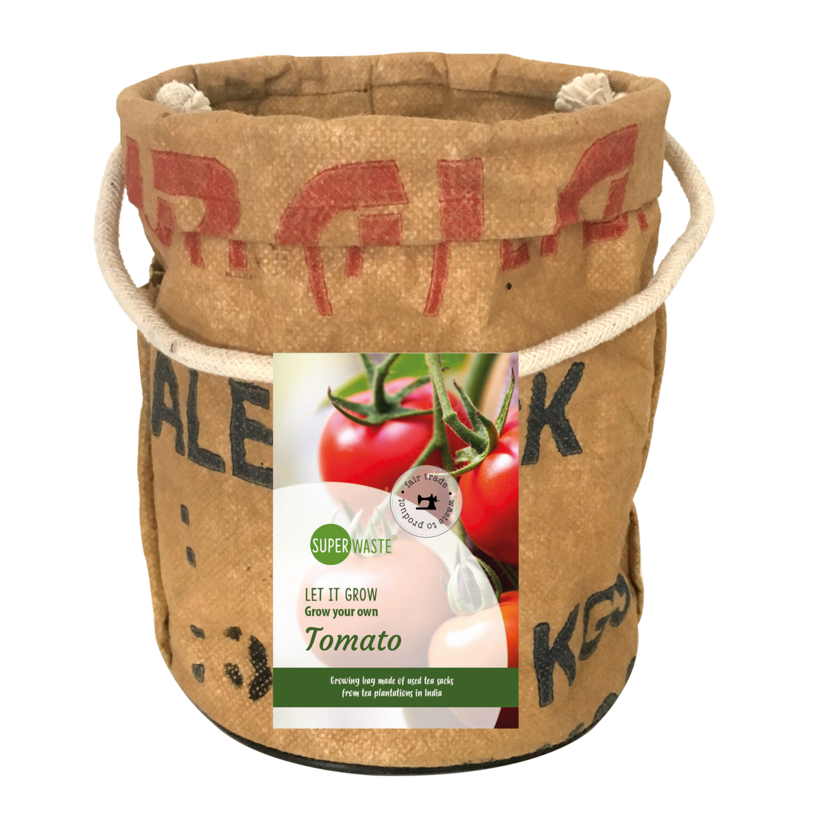 Grow your own tomatoes