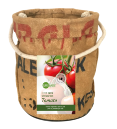 Bauen Sie Ihre eigenen Tomaten an
