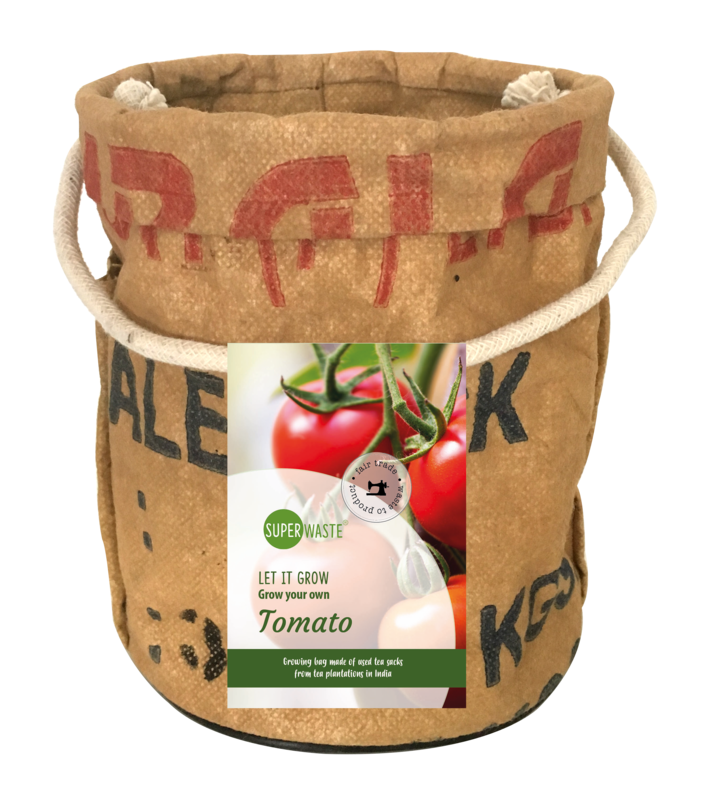 Bauen Sie Ihre eigenen Tomaten an