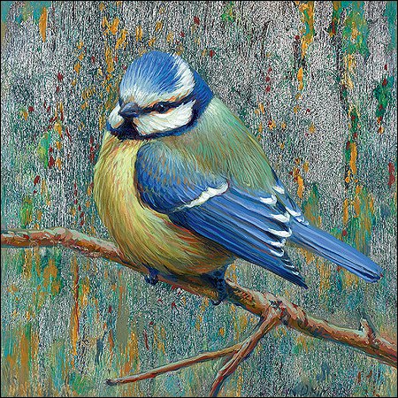 Carpeta de tarjetas - Erik van Ommen, Pájaros
