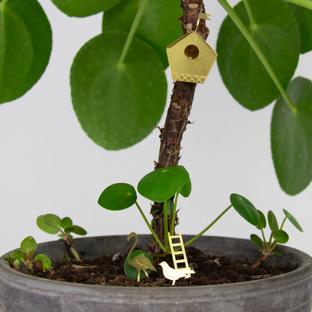Klein vogelhuisje voor uw planten