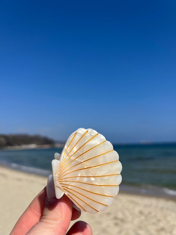 Haarklammer Muschelform Cloud