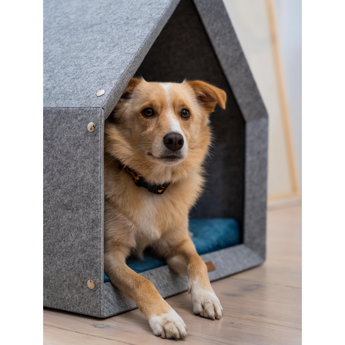 Pethome Perfekt hus til en hund og en kat - lysegrå/genanvendt