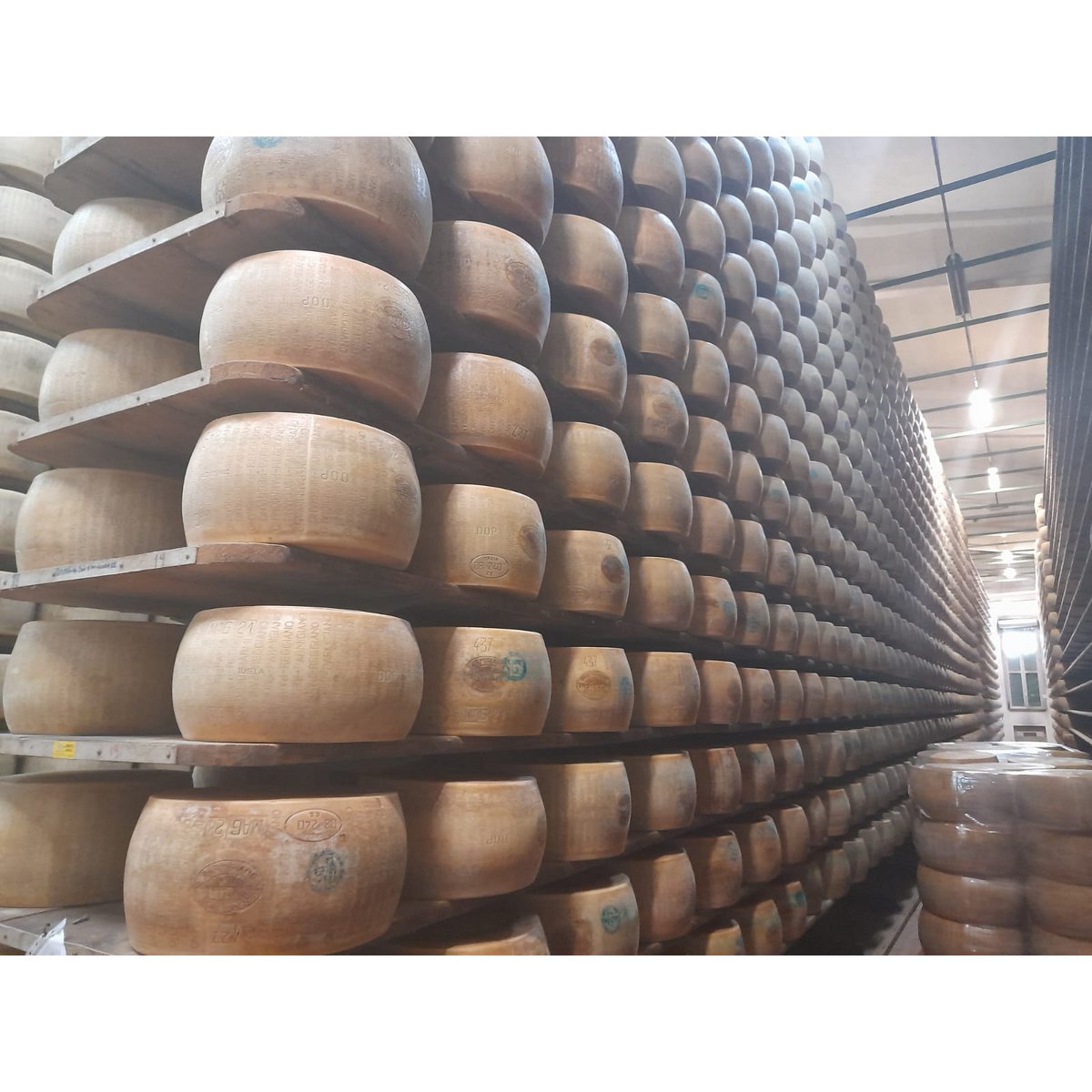 Parmigiano Reggiano DOP - 24 meses de crianza precio/ud