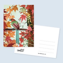 Vögel des Herbstes