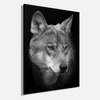 Wandfoto WOLF 46x61 cm canvas foto spieraam decoratie modern