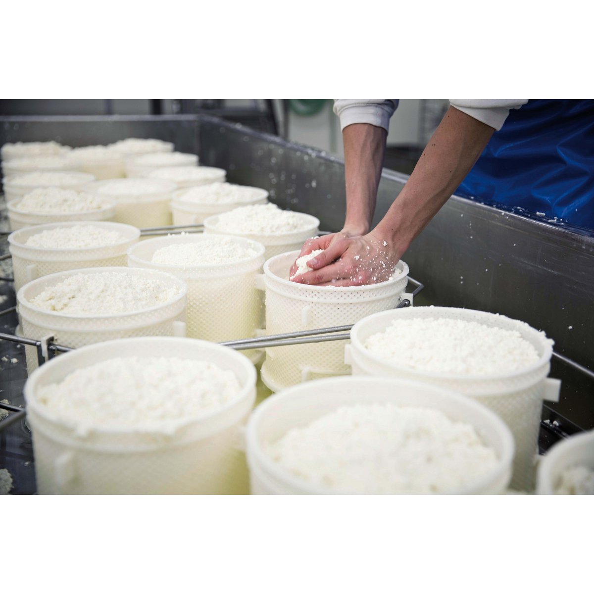 🇬🇧 Rijpe pecorino 75 dagen oud – ambachtelijke schapenkaas