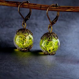 Pendientes de musgo real - Pendientes de plantas de musgo verde de Islandia - VINOHR-17