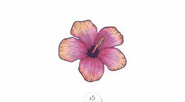 Temporary tattoo: Hibiscus flower x5