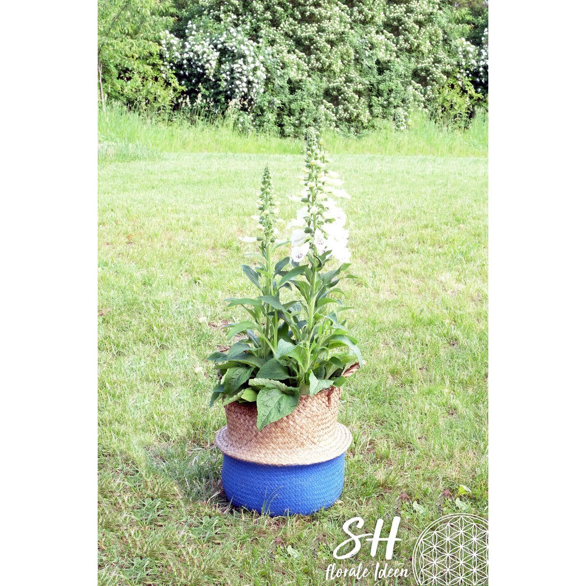 Panier de ventre grand, 35cm, bleu