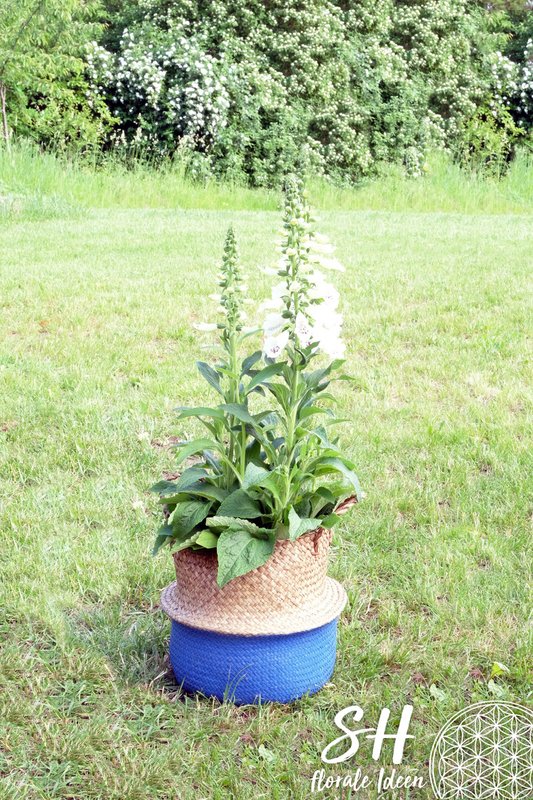 Mavekurv stor, 35cm, blå