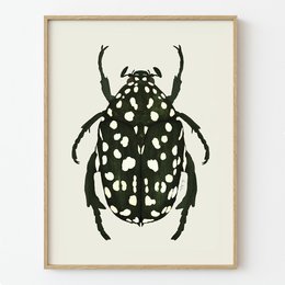 Groene kever Art Print