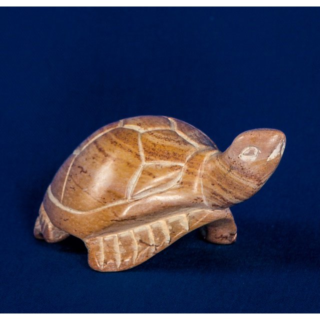 519 Turtle small natural - fedtsten