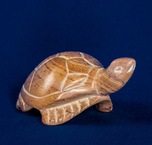 519 Turtle small natural - fedtsten