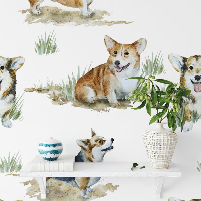 Sød Corgi Hund Tapet kopi