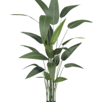 Artificial plant Heliconia 160 cm