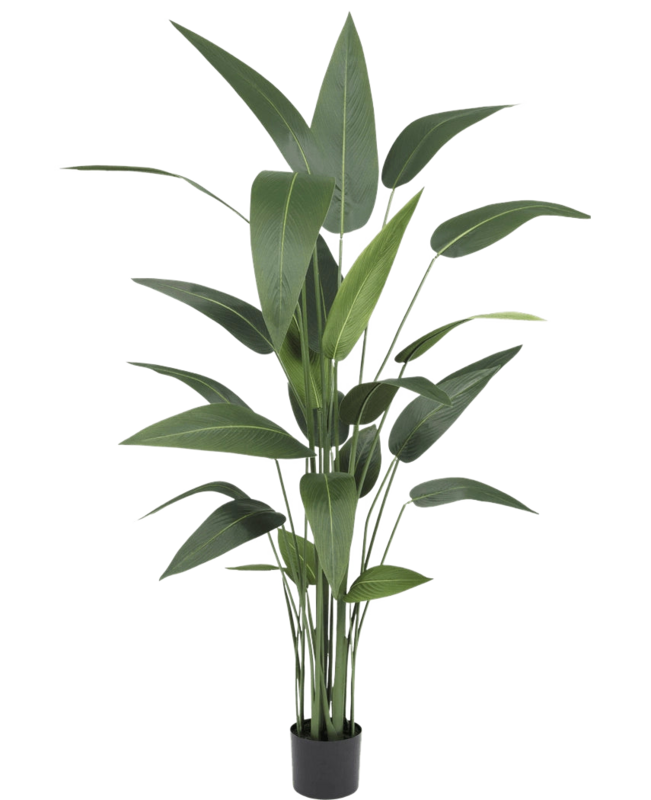 Pianta artificiale Heliconia 160 cm