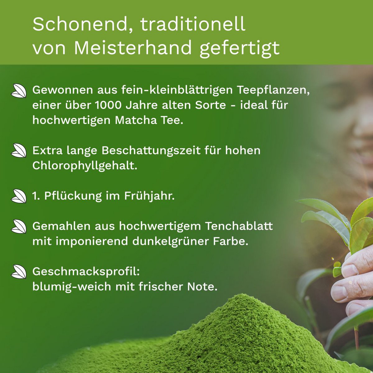 Creano Bio Matcha Tee 100g Premium