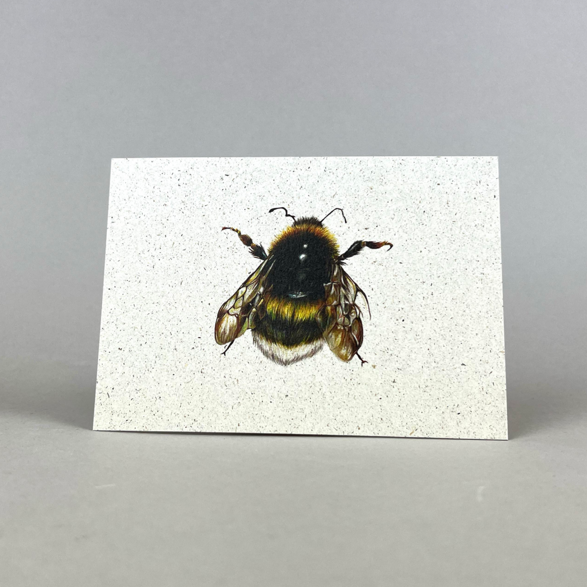 Postal papel hierba "Hummel"