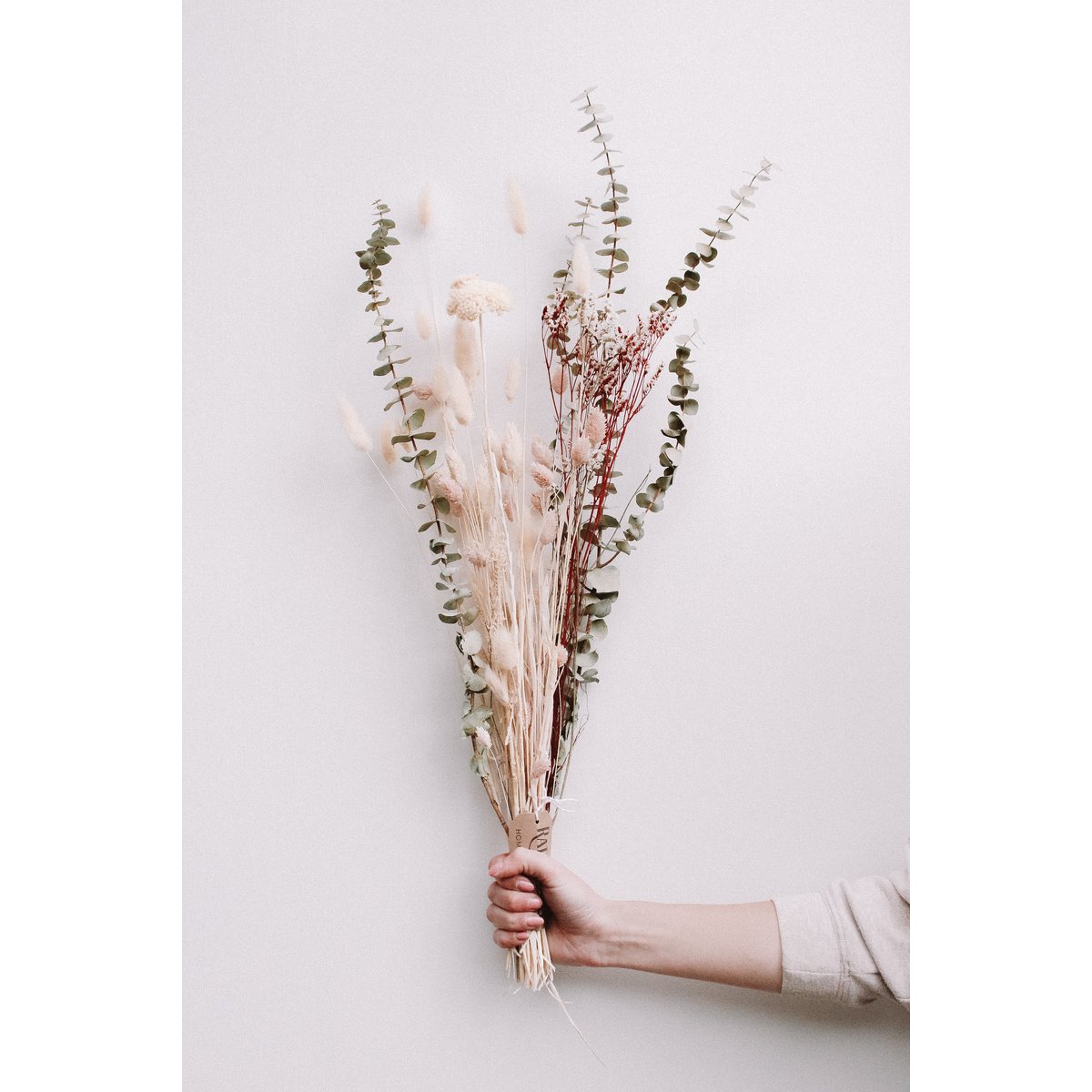 Trockenes Bouquet - Eucaboy