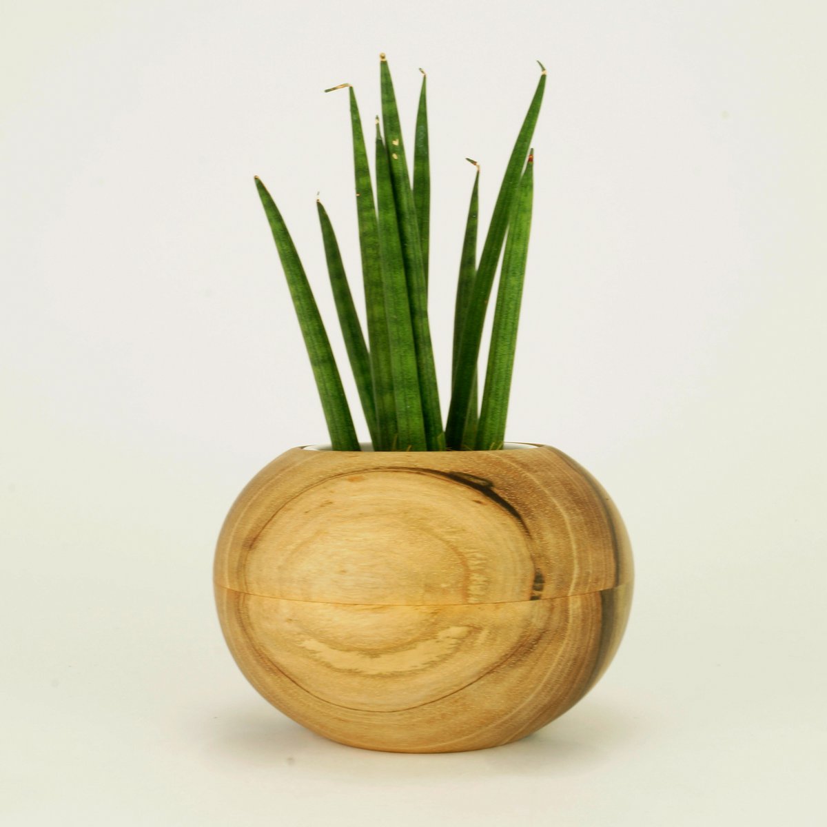 Flowerpot Sphere