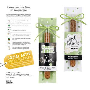 Flower seed test tube New Year's Eve 2-assorted, height 21 cm