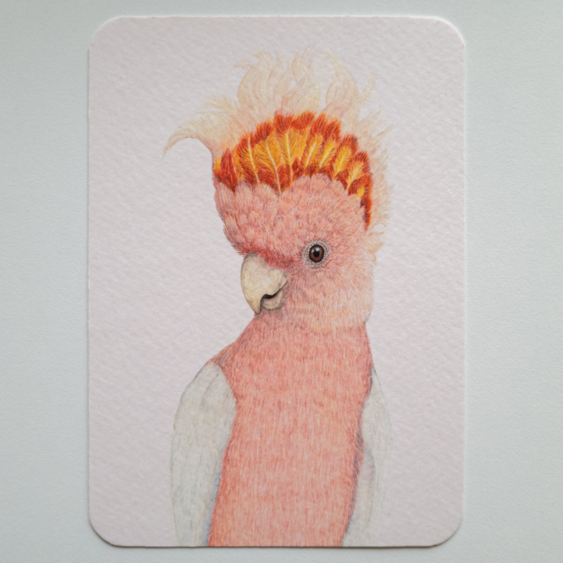 Postal IRWIN