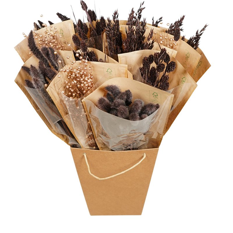 Getrocknete Blumen Mono -Bündel - Schokolade
