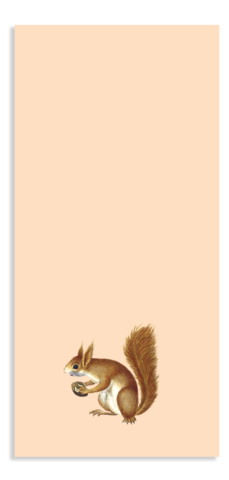 Notepad Din Lang Squirrel