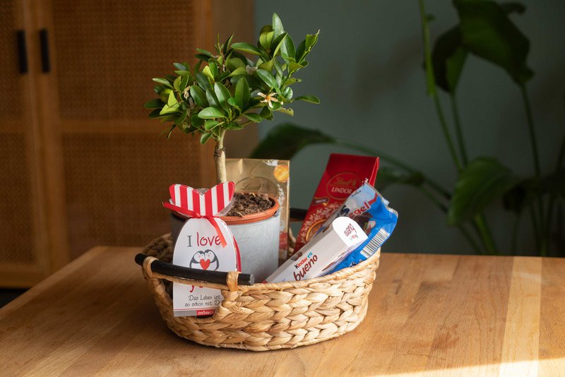 Large laundry tub, basket braided out of water hyacinth with wooden handles
