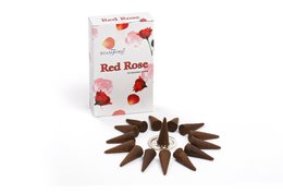 StamC-08 - Cônes de rose rouge