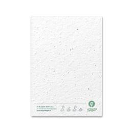 Tarjeta de felicitación de papel con semillas - Naturaleza