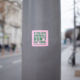 Kleine Veganistische Binnen/Buiten Stickers 'Als je niet van dieren houdt, eet ze dan niet'