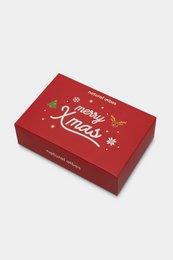 Organic socks gift set Xmas, 2-pack - 2 pairs of colorful socks with a Christmas pattern