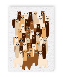 A group of alpacas in various shades of brown and beige, arranged in a collage-like pattern against a white background.