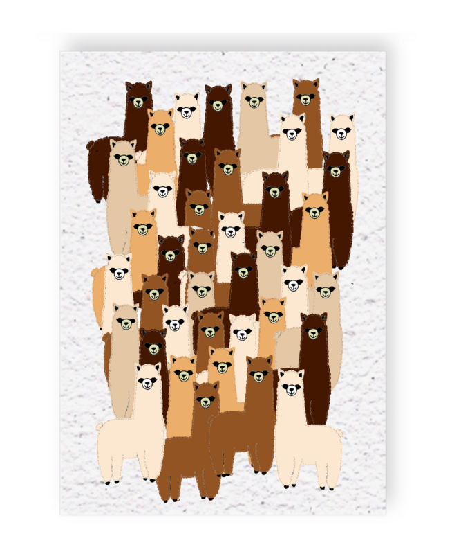 Tabla de crecimiento Alpacas