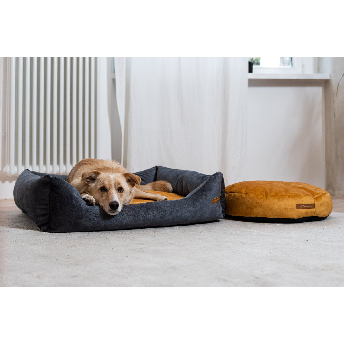 Cuccia per cani e gatti Rexproduct Softcolor – grafite/multicolore