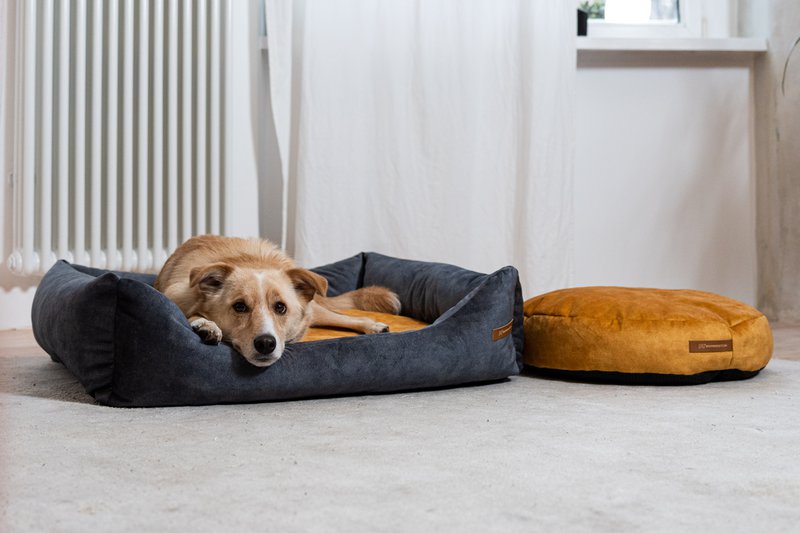 Hunde- og katteseng Rexproduct Softcolor – grafit/multicolor