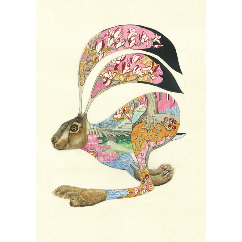 E008 - hare