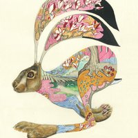 E008 - Hase