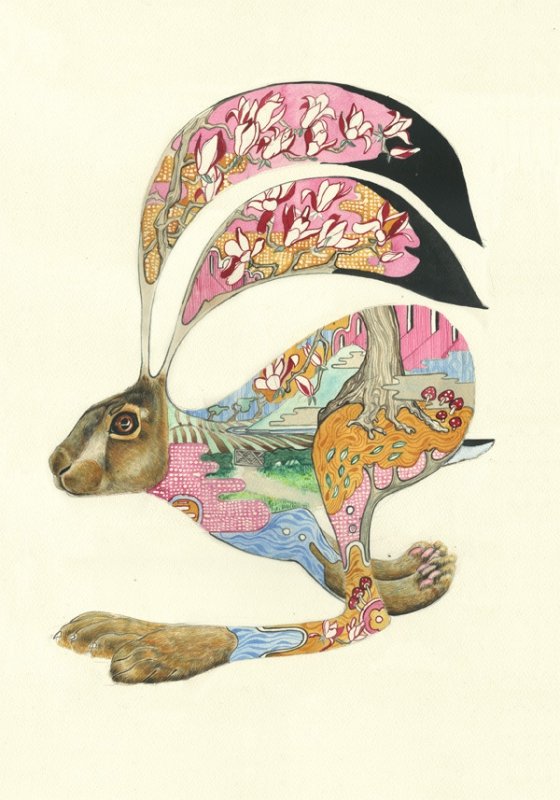 E008 - hare