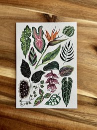 Postcard 'Houseplants'